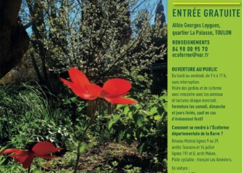 Le printemps de poètes 2026_info83