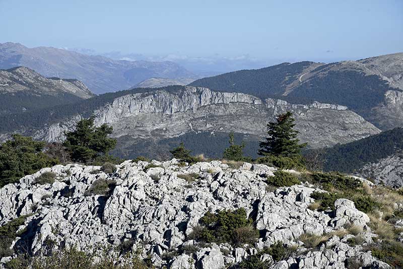 Exposition “Var Éternel” à La Garde_info83
