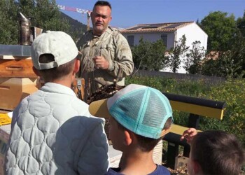 Printemps du Coudon_info83