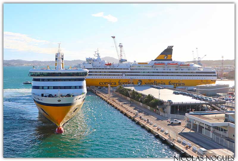 France LIBRE : pourquoi les acteurs du port de Toulon se mobilisent déjà