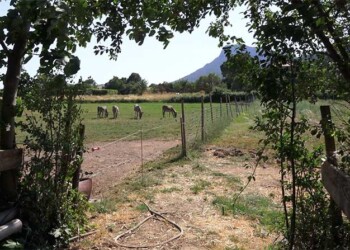 Agritourisme dans le Var : un nouveau guide pour aider les agriculteurs à diversifier leurs revenus