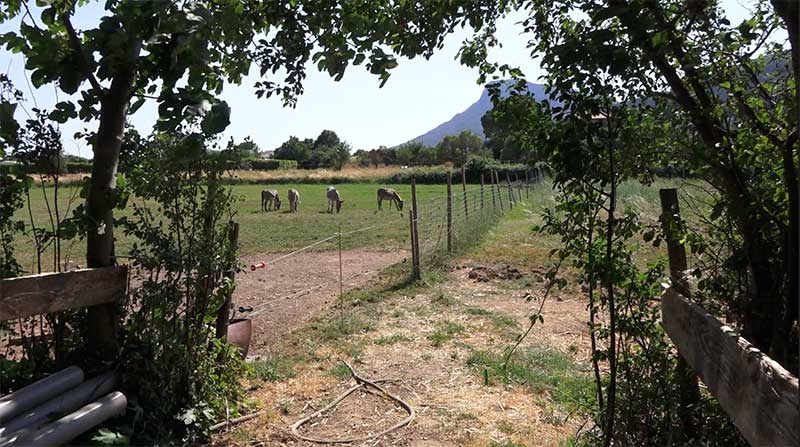 Agritourisme dans le Var : un nouveau guide pour aider les agriculteurs à diversifier leurs revenus